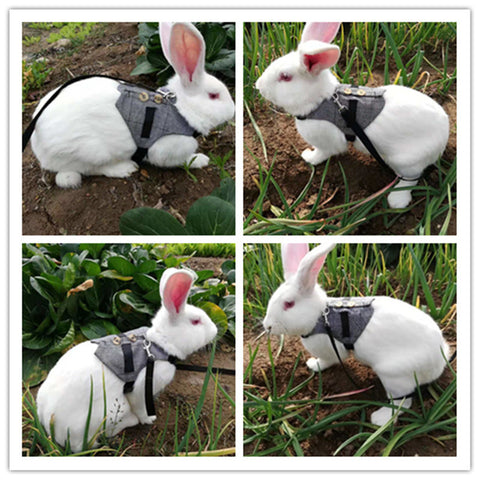 Rabbit leash - WoofGoof™ - rabbit dress