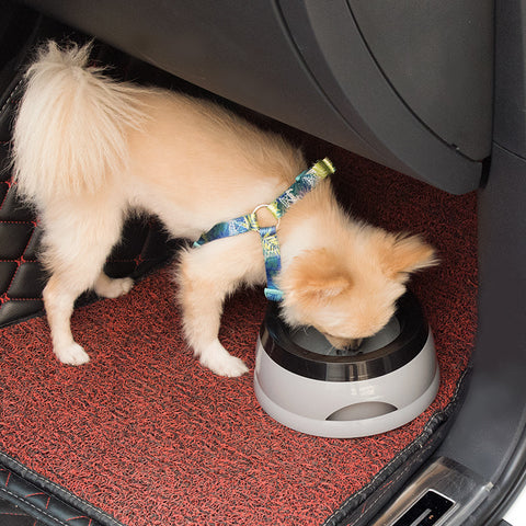 Dog Traveling Car Bowl - WoofGoof™ - Splash-proof