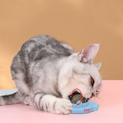 Cat Toy Ball - WoofGoof™ - Great for molar teeth