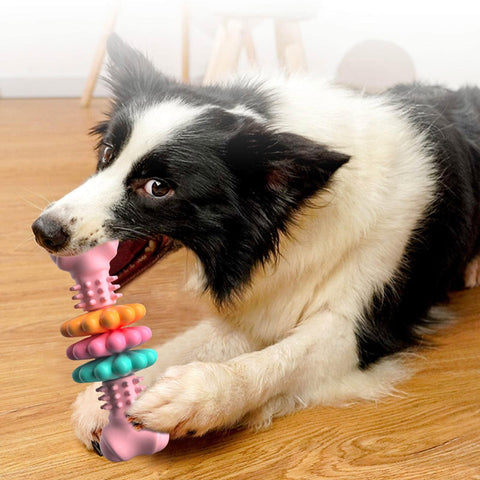 Magic Bone - WoofGoof™ - Dog chew toy dog bone -  Cleaning Toys  - Indestructible Bone - Chewing Bite Resistant